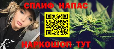 гашик Аргун