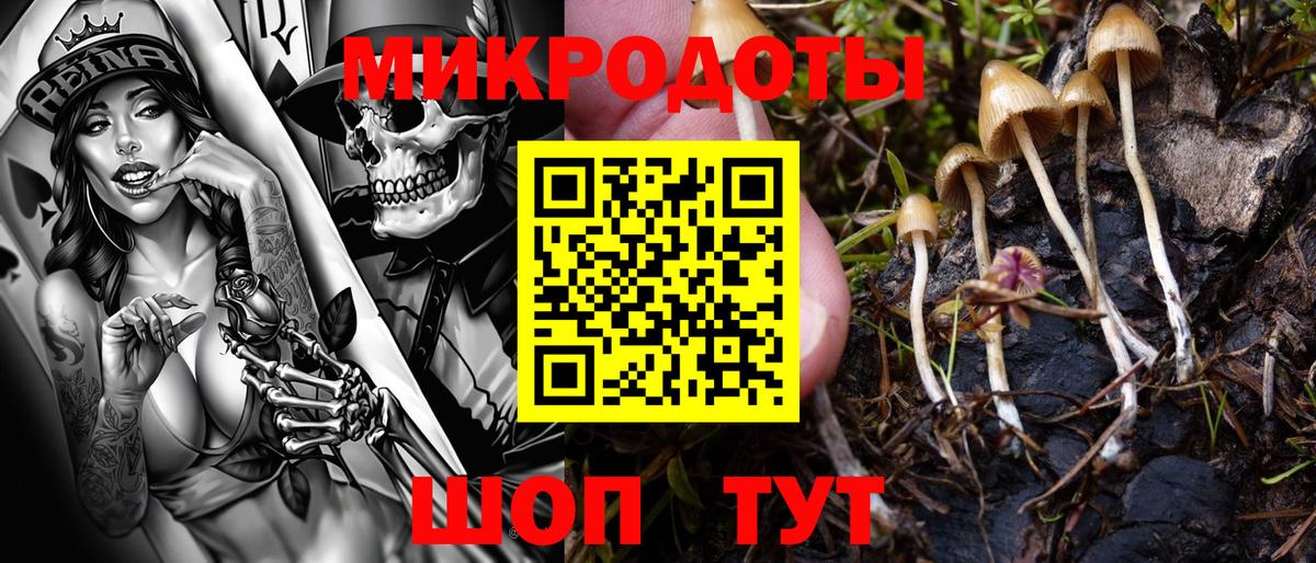 Псилоцибиновые грибы GOLDEN TEACHER Солнечногорск