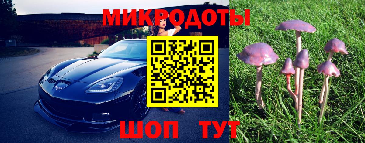 Псилоцибиновые грибы Magic Shrooms  Галлюциногенные грибы Psilocybine cubensis  Солнечногорск  Вход с VPN 